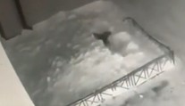 VIDEO: Dievča (6) sa druhýkrát narodilo. Po páde zo štvrtého poschodia prešlo po vlastných