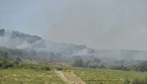 V bratislavských vinohradoch horelo. Evakuovali 20 ľudí