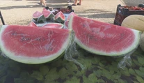 Ak ste si kúpili slovenský melón, zrejme vás oklamali. Krajina pôvodu však nie je to najdôležitejšie