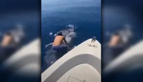 VIDEO: Muž zoskočil z lode na obrovského žraloka, následne na ňom odplával preč