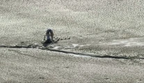 Vo vypustenom tajchu v Novej Bani ostalo nebezpečné bahno. Uviazli v ňom deti aj dospelí