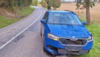 Pozor, dvíha sa vietor. Na Záhorí spadol na idúce auto strom