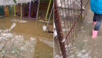 VIDEO: Spúšť po búrke v útulku v Brezne. Psy sú vydesené, majetok je zničený a všetko je pod vodou