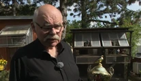 Tvrdí, že chovateľstvo je vysoko návykové a skvelá psychohygiena. Peter Vačok sa chovu holubov venuje celý život