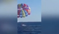 Hororový zážitok na parasailingu: Žralok vyskočil z vody a odhryzol mužovi z nohy