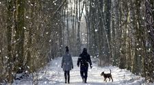 Sneží, fúka a je vonku zima? Ideálny čas na vašu zdravotnú prechádzku