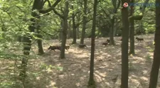 Panika na nakrúcaní nového seriálu: Hlavným hviezdam zistili koronavírus