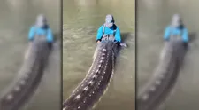 Kanadský rybár sa pochválil kardinálnym úlovkom. Prehistorický kolos mal takmer 4 metre a vážil štvrť tony