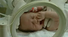 Ordinácia v ružovej záhrade: Opustené mláďa