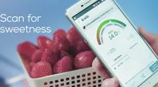 Smartfón s revolučným senzorom odhalí pokazené mäso aj nezrelé ovocie!