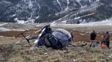 Los vyskočil na chvost nízko letiaceho vrtuľníka, helikoptéra spadla