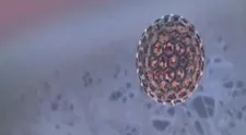 Smrteľný vírus bude liečiť rakovinu