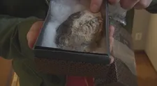 Slovensko má konečne svoju kostru z éry dinosaurov: Objavili ju úplne náhodou