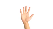 Ktorý muž je lepší milenec prezradí pohľad na jeho... Ruky!