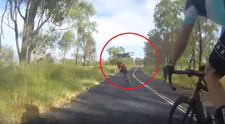 VIDEO: Kengura zákerne napadla cyklistku, tá zostala len nehybne ležať na zemi