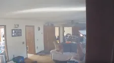 Psa zlákali palacinky položené na sporáku, pre pažravosť takmer podpálil byt