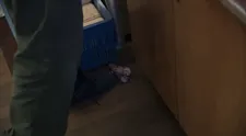 Len pre silné povahy: Špina, smrad a mäso zo zeme!