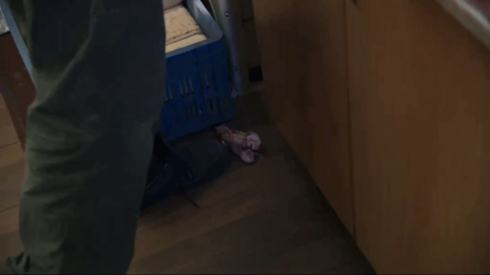 Len pre silné povahy: Špina, smrad a mäso zo zeme!