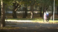 Stopy pandémie na duševnom zdraví dieťaťa