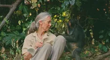 Žijeme v ťažkých časoch, hovorí svetová hviezda Jane Goodall. Ak prepadneme apatii a klamstvám, sme stratení