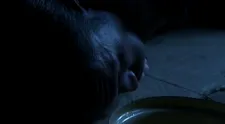 Mesto tieňov: Koniec sveta II.