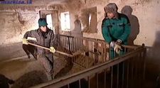 Judínyová: Takto na farme kydala hnoj!