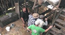 Aká bude reakcia hospodára? Farmárom zovrelo žalúdky, prišli o jedno zviera!
