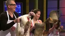 Zápas súťažiacej a živého zvieraťa priamo na pľaci šou MasterChef!