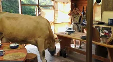 Na statku hrozí hladomor: Farmári prišli o zásoby jedla na celý týždeň!