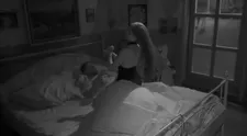 Prvý sex na Farme? Zdá sa, že kocúr už bol asi v trúbe