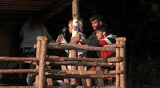 Farme hrozí veľká kríza: Z tohto môže byť obrovský problém!