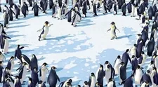 Happy Feet a ďalšie vianočné prekvapenia!