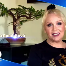 Marika Gombitová