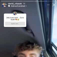 David po plastike
