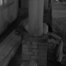 Lenka a Matúš si na Farme užili vášnivú noc