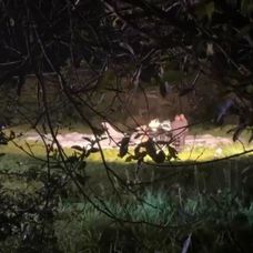 Pád malého lietadla