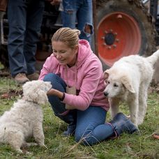 1011_Telerano_10_11_P30_piatok_06_00.mp4