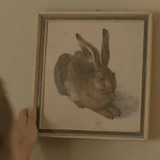 Vzácny obraz v Dunaji