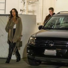 Brad Pitt s Ines de Ramon