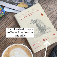 Hviezda americkej šou The Bachelor Sarah Herron čaká dvojičky.