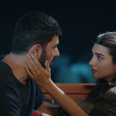 Veľvyslancova dcéra