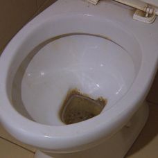 Špina v domácnosti v Zámene manželiek