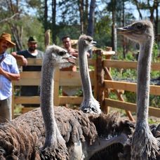 Hospodár Martin pri tohtotýždňovej kontrole úloh