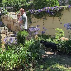 Rodina princa Harryho