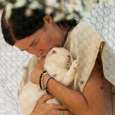 32. deň na Farme, príchod banditov