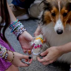 Fanúšikovia Taylor Swift po zrušených koncertoch vo Viedni