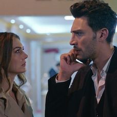 Láska, rozum, pomsta