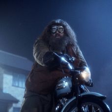 Robbie Coltrane ako Hagrid v Harrym Potterovi.