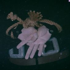 Zachránené životy