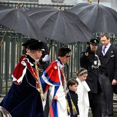 Prekrásna princezná z Walesu